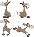 Burros cartoon set of lovely and ridiculous Stock Photo