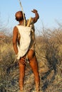 Bushman