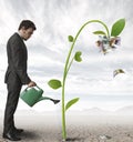 Businessman And A Plant Of Money