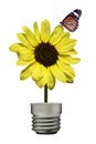 Butterfly on yellow flower lamp flowers shaped lamps white background Royalty Free Stock Photos