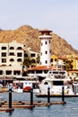 Cabo San Lucas II