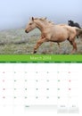 Calendar 2014. Horse. March