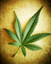 Cannabis Leaf On Grunge Backgr...