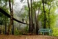 The Canopy Walk Way