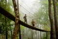 The Canopy Walk Way