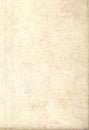 Canvas Texture