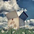 Cardboard box with recycle sign on green grass Royalty Free Stock Image