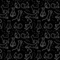 Cat Background