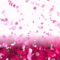 Cherry blossom petals swirling in the wind