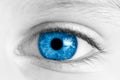 Child Blue Eye
