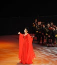 Chinese famous female singer Dong Wenhua-theFamous and classicconcert