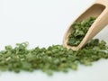 Chopped Green Onion Wood Object
