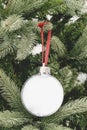 Christmas ornament ball pictures frame