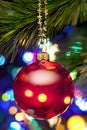 Christmas Tree And Lights