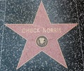 Chuck Norris Hollywood Star