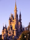 Cinderella Castle