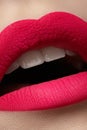 Closeup of lips makeup. Beautiful fashion bright pink lip mat make-up