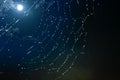 Cobwebs Full Moon Background