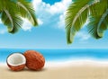 Coconut with palm leaves. Summer vacation background.