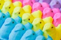 Colorful Easter Marshmallow Treats