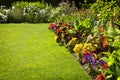 Colorful Garden Flowers