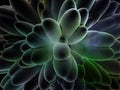 Colorful Micro Fantasy Alien U...