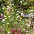 Colourful Country Garden