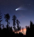 A comet in the evening sky