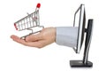 Computer monitor and hand with shopping cart e commerce conception Stock Image