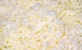 Cooked white rice grains Stock Photography