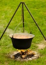 Cooking In The Nature