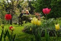 Couple Is Relaxing In The Garden