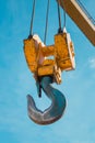 Crane Hook