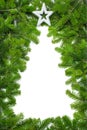 Creative Christmas Tree Border