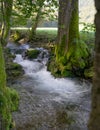 Creek Bruehlbach near Bad Urach, Germany