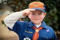 Cub Scout giving Boy Scout salute
