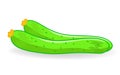 Cucumber Illustration