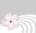 Cute Flower Background
