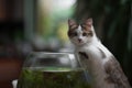 Cute young kitten and a fish bowl