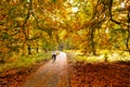 Autumn Cycling
