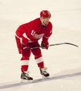 Dan Cleary of The Detroit Red Wings