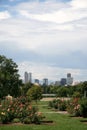 Denver skyline