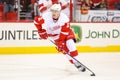 Detroit Red Wings defenseman Brendan Smith