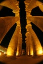 Diffrent view on the pillars at Luxor temple