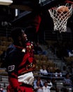 Dikembe Mutumbo, Atlanta Hawks