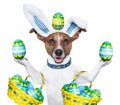 Dog Easter Bunny