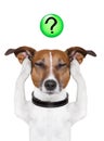 Dog question mark