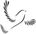 Dove Or Bird