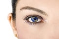Earth Eye