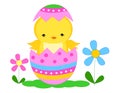 Easter Chick